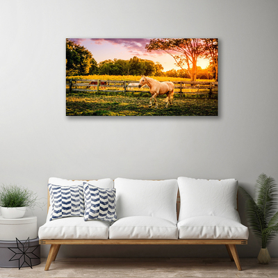 Nuotrauka ant drobes Arklių pievų gyvūnai gamta
