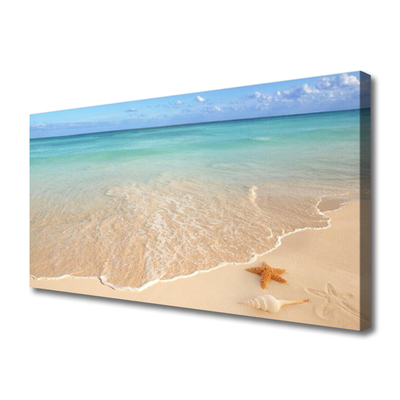 Foto ant drobes Paplūdimio jūros žvaigždžių peizažas