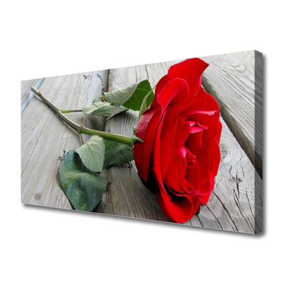 Nuotrauka ant drobes Rožės Gėlės