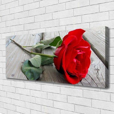 Nuotrauka ant drobes Rožės Gėlės