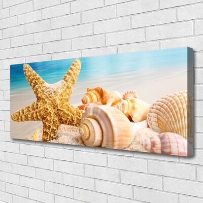 Foto paveikslai ant drobės Starfish Shell Art