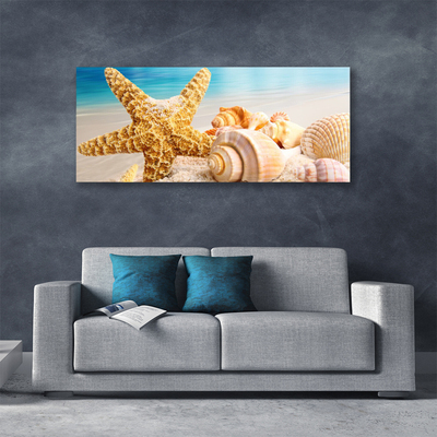 Foto paveikslai ant drobės Starfish Shell Art