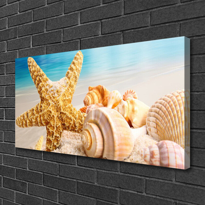 Foto paveikslai ant drobės Starfish Shell Art