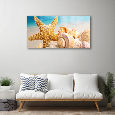 Foto paveikslai ant drobės Starfish Shell Art