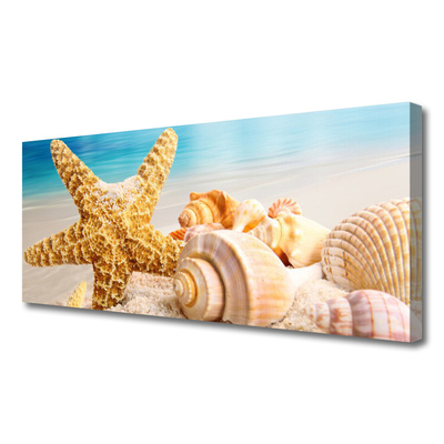 Foto paveikslai ant drobės Starfish Shell Art