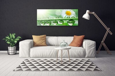 Print ant drobės Rosa Leaf Daisies Gamta