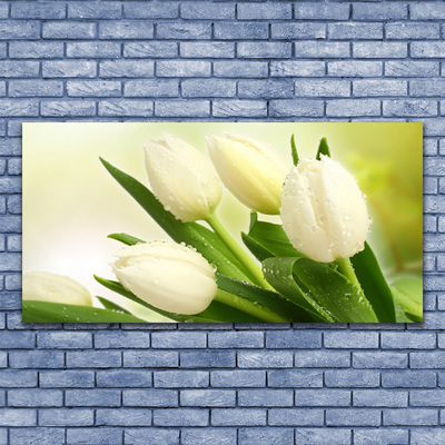 Print ant drobės Tulpių gėlių augalas