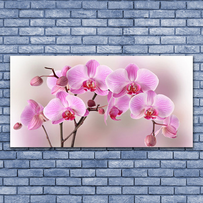 Foto paveikslai ant drobės Gėlės Augalų Gamta