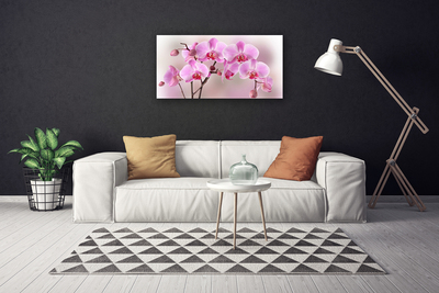 Foto paveikslai ant drobės Gėlės Augalų Gamta