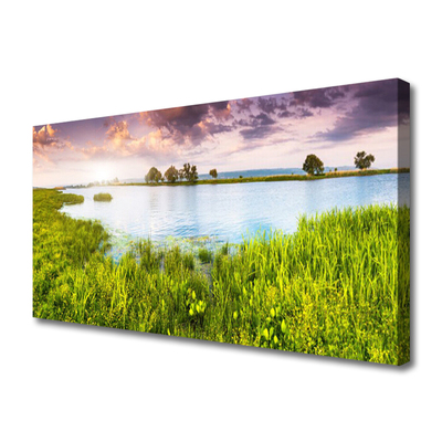 Nuotrauka ant drobes Žolės ežero gamta
