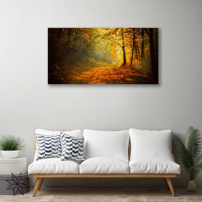 Foto paveikslai ant drobės Miško takas Medžiai Gamta
