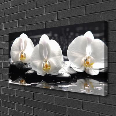 Print ant drobės Balta orchidėjų gėlė
