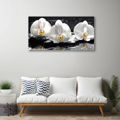 Print ant drobės Balta orchidėjų gėlė