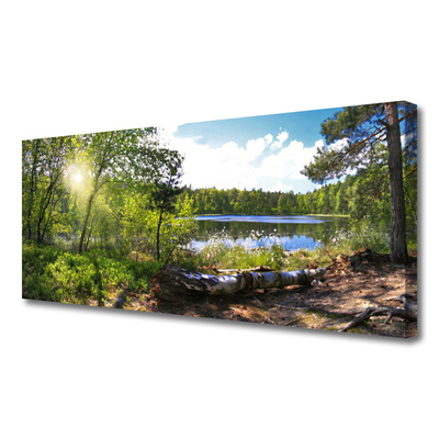 Nuotrauka ant drobes Miško medžiai Ežeras Gamta