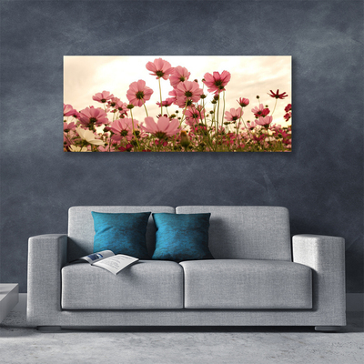 Foto paveikslai ant drobės Laukinių gėlių pievos gamta