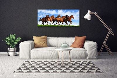 Nuotrauka ant drobes Ganykloje šuoliuoja žirgai
