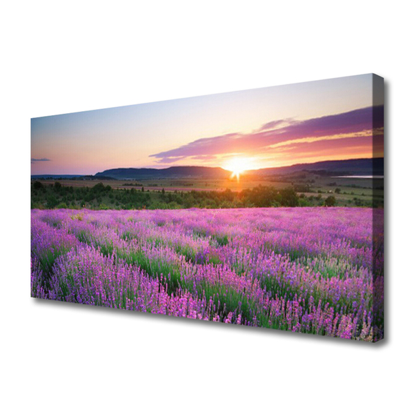 Nuotrauka ant drobes Lavender Fields Meadow West