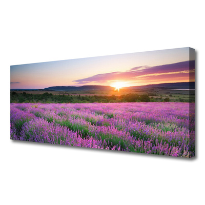 Nuotrauka ant drobes Lavender Fields Meadow West