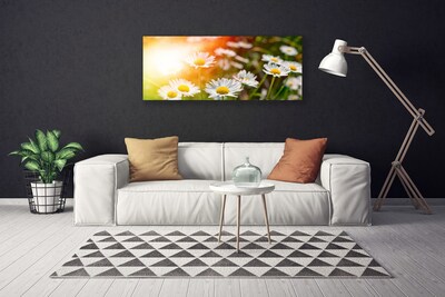 Foto paveikslai ant drobės Daisies Gėlės Rays