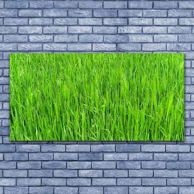 Foto paveikslai ant drobės Green Grass Nature Turf