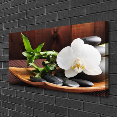 Foto paveikslai ant drobės Zen bambuko balta orchidėja