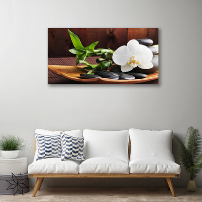 Foto paveikslai ant drobės Zen bambuko balta orchidėja