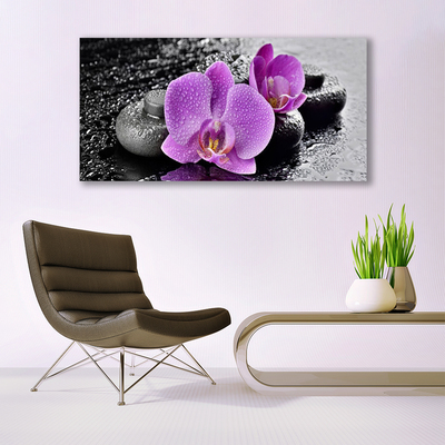 Paveikslas ant drobes Orchidėjų gėlės Orchid SPA