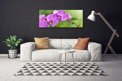 Paveikslas ant drobes Orchidėjų gėlės