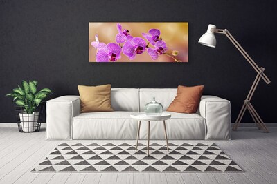 Print ant drobės Orchidėja ūgliai Gėlės Gamta