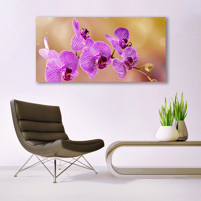 Print ant drobės Orchidėja ūgliai Gėlės Gamta