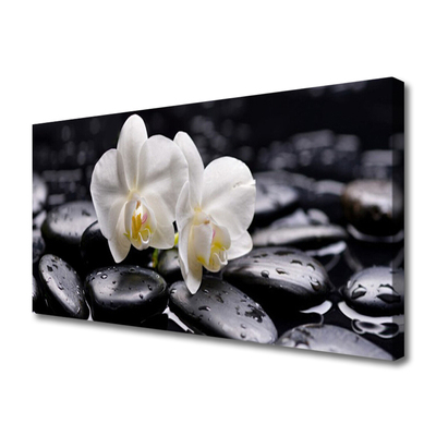 Paveikslas ant drobes Zen White Orchid SPA