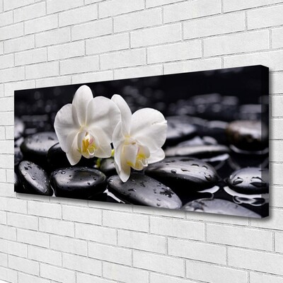 Paveikslas ant drobes Zen White Orchid SPA