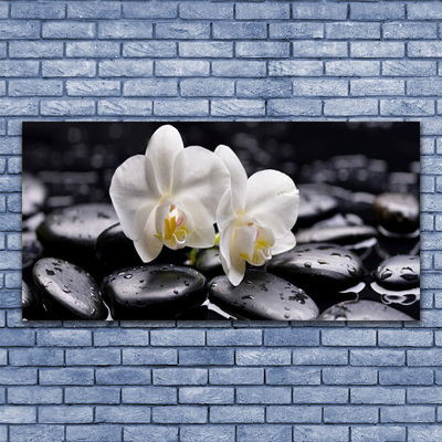 Paveikslas ant drobes Zen White Orchid SPA