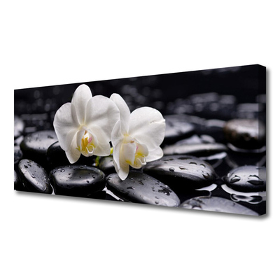 Paveikslas ant drobes Zen White Orchid SPA