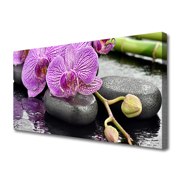 Foto paveikslai ant drobės Orchid Zen Orchid SPA