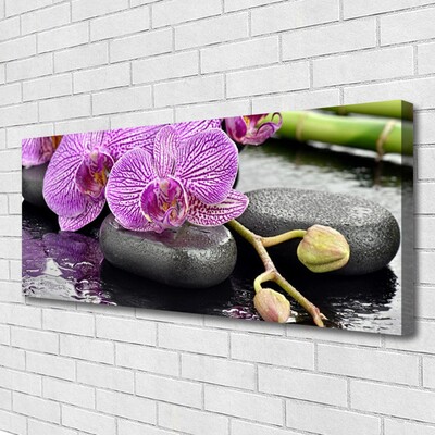 Foto paveikslai ant drobės Orchid Zen Orchid SPA