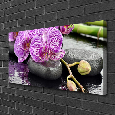 Foto paveikslai ant drobės Orchid Zen Orchid SPA