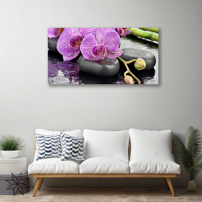 Foto paveikslai ant drobės Orchid Zen Orchid SPA