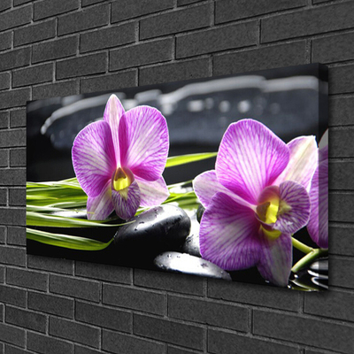 Print ant drobės Orchid Stones Zen Spa