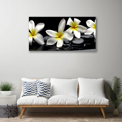 Foto ant drobes Graži Plumeria gėlė