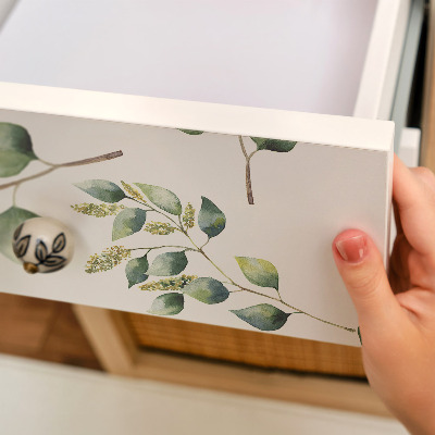 Dekoratyvinė plėvelė baldams Botaniniai lapai