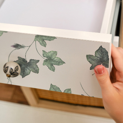 Baldų plėvelė Gebenės lapai