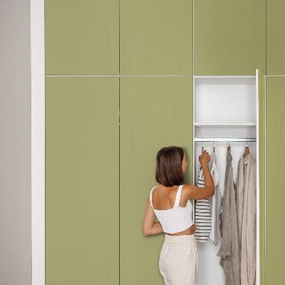 Lipni plėvelė baldams Žalias vintažinis