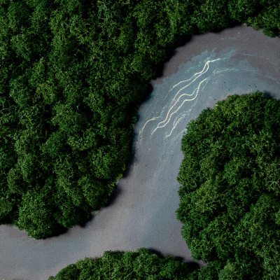 Stabilizuotų samanų paveikslas Upė miške