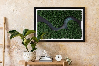 Stabilizuotų samanų paveikslas Upė miške