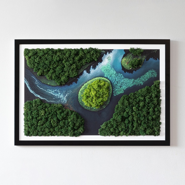 Stabilizuotų samanų paveikslas Sala ant upių