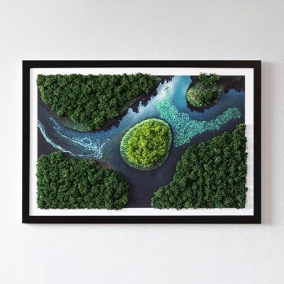 Stabilizuotų samanų paveikslas Sala ant upių