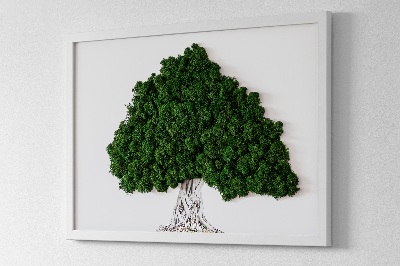 Stabilizuotų samanų paveikslas Medis su šaknimis baltame fone
