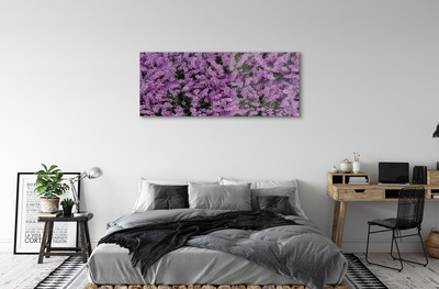 Stiklo paveikslas Violetinės gėlės