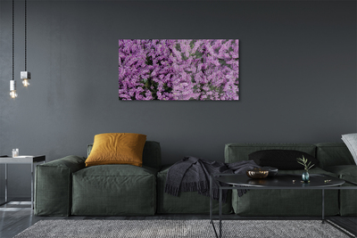 Stiklo paveikslas Violetinės gėlės
